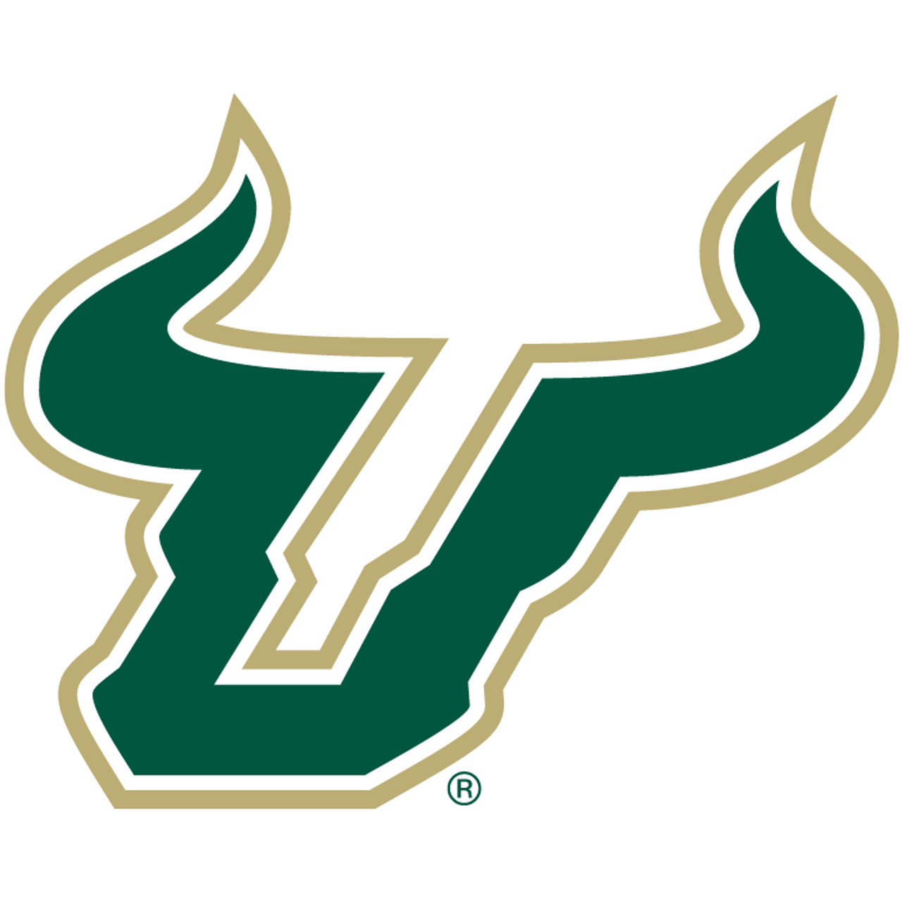 South Florida Bulls South Florida Bulls
